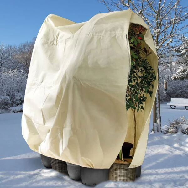 Thermobeschermhoes XXL Voor Planten - 300 × 200 Cm 2 Thermobeschermhoes XXL Voor Planten - 300 × 200 Cm - Afbeelding 2