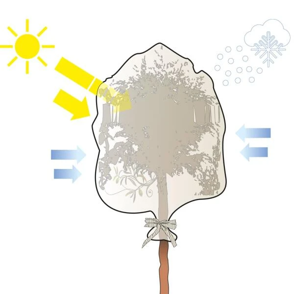Thermobeschermhoes XXL Voor Planten - 300 × 200 Cm 4 Thermobeschermhoes XXL Voor Planten - 300 × 200 Cm - Afbeelding 4