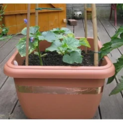 Anti-slakken Kopertape 4 M -Exporteren Plant Pracht Winkel antislakken kopertape 1484052941 3 600