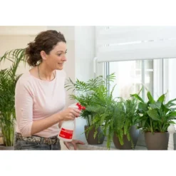 Birchmeier Foxy Plus -Exporteren Plant Pracht Winkel birchmeier foxy plus 1496510253 2 600