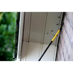 Telescopische Lans XL 8D - Birchmeier -Exporteren Plant Pracht Winkel birchmeier lans xl 8d 1484057152 3 600