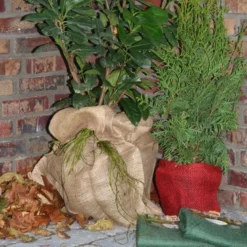 Jutezak - Naturel - 60 × 80 Cm -Exporteren Plant Pracht Winkel jutezak 60 x 80 naturel 1486635322 0 600