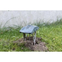 Mollenklem - Innovatief En Robuust 7 Mollenklem - Innovatief En Robuust -Exporteren Plant Pracht Winkel mollenklem mollenijzer 1484062617 4 600