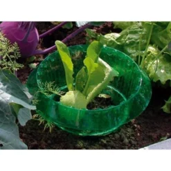 Slakken Beschermringen - Set Van 6 Stuks -Exporteren Plant Pracht Winkel slakken beschermingsringen 1484053655 3 600