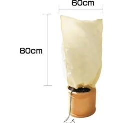 Thermobeschermhoes Voor Planten - 60 × 80 Cm -Exporteren Plant Pracht Winkel thermovorsthoes 60 x 80cm 1568406889 1 600