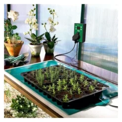 Warmtemat - 35 × 25 Cm -Exporteren Plant Pracht Winkel warmtemat 35 x 25 cm 1674120593 1 600