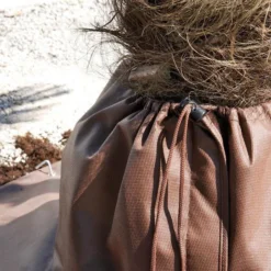 Beschermhoes Voor Wortel Palmboom -Exporteren Plant Pracht Winkel wortelbescherming palmboom 1484056031 3 600