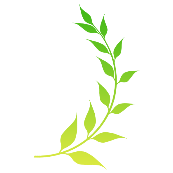 Exporteren Plant Pracht Winkel